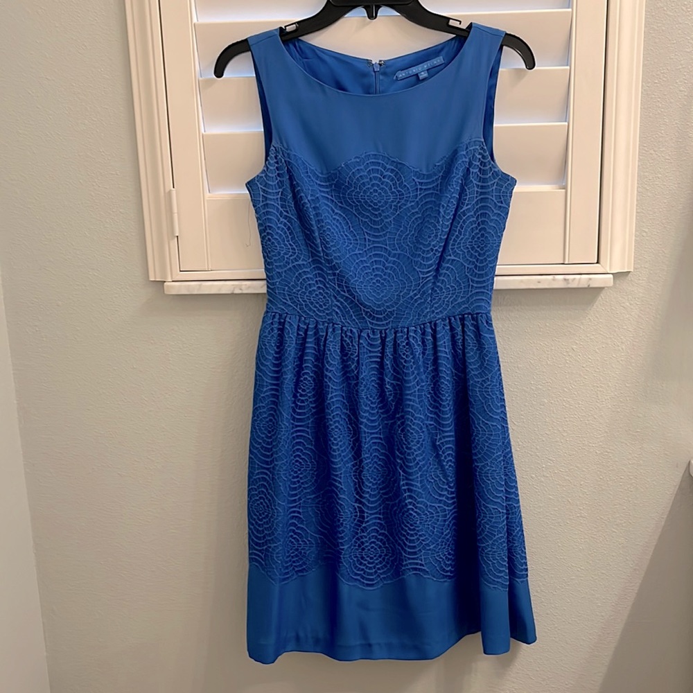 Antonio Melani Stunning Blue Lace Dress 🦋